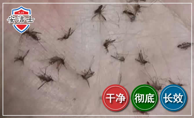 天台蚊子防治-灭蚊