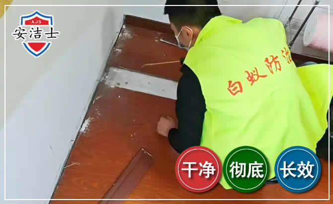 天台除四害现场