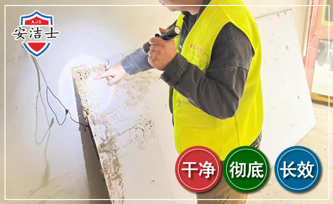 天台除白蚁现场