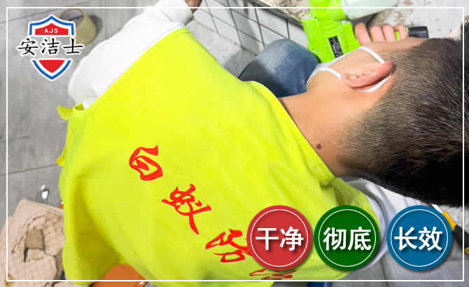 天台白蚁根治现场